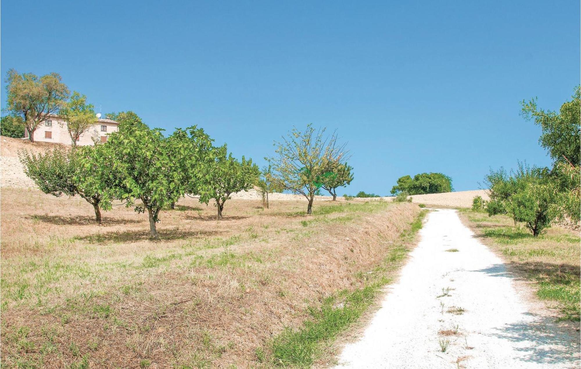 Strada Dei Condotti Pesaro Exteriör bild